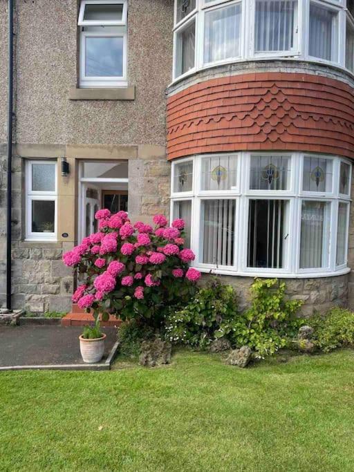 Kelvinside, Seahouses, 2 Minute Walk Into Village Exterior photo